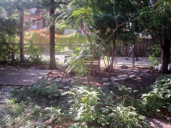 Confort : photo 1 de la chambre chambre double ou lits jumeaux