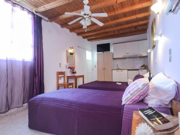 Panormos Hotel and Studios : photo 6 de la chambre studio (4 adultes)