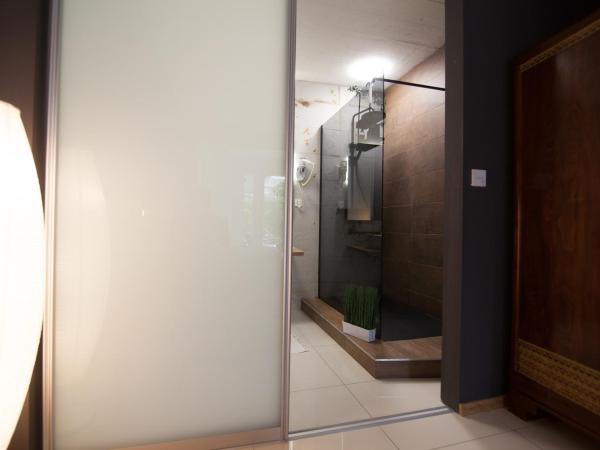 BASIC MANSION + (Mandalina-Šibenik) : photo 10 de la chambre appartement 1 chambre supérieur avec vue sur la piscine