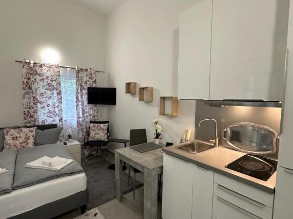 Estelada Boarding Houses - Bogenhausen : photo 1 de la chambre studio