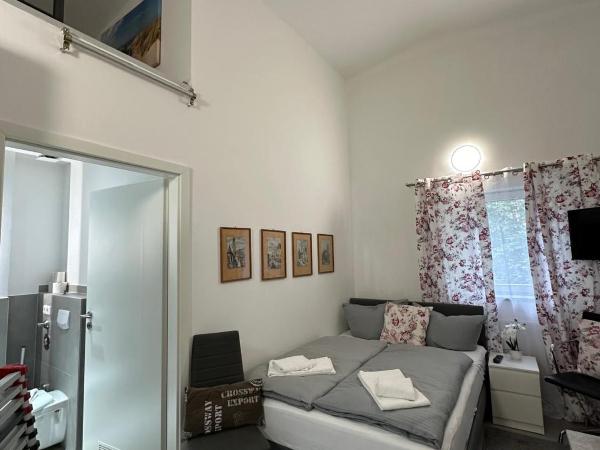 Estelada Boarding Houses - Bogenhausen : photo 4 de la chambre studio