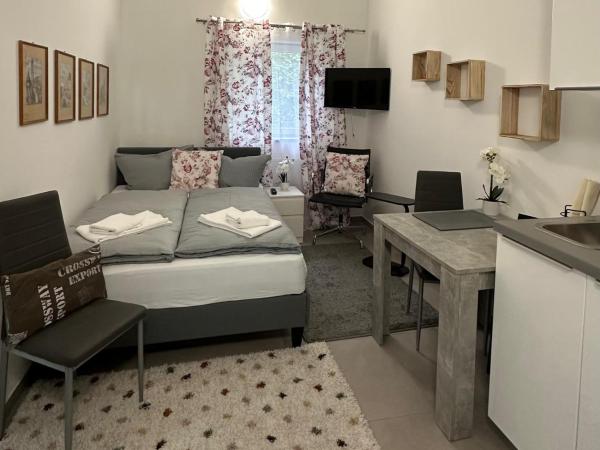 Estelada Boarding Houses - Bogenhausen : photo 9 de la chambre studio