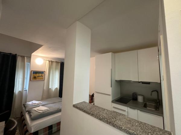 Estelada Boarding Houses - Bogenhausen : photo 3 de la chambre studio