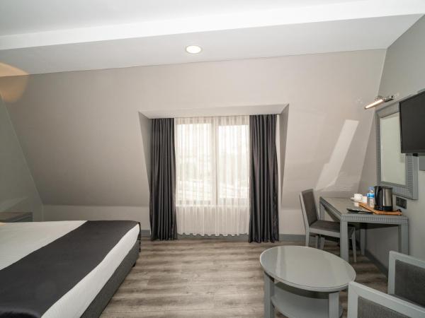 Grand S Hotel : photo 7 de la chambre chambre double standard