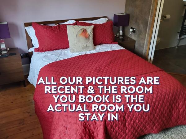 Little Robin Gate - Free Parking - Central - 10 min Walk to Train Station : photo 6 de la chambre chambre double avec salle de bains privative