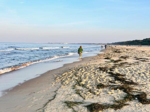 Sopot Marina Coastal Residence : photo 2 de la chambre appartement 2 chambres