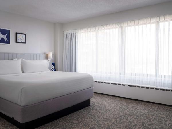 Sonesta ES Suites Chicago Downtown Magnificent Mile Medical : photo 1 de la chambre suite 1 chambre - lit king-size