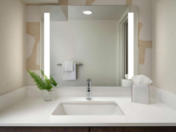 Sonesta ES Suites Chicago Downtown Magnificent Mile Medical : photo 6 de la chambre suite studio - 1 lit king-size