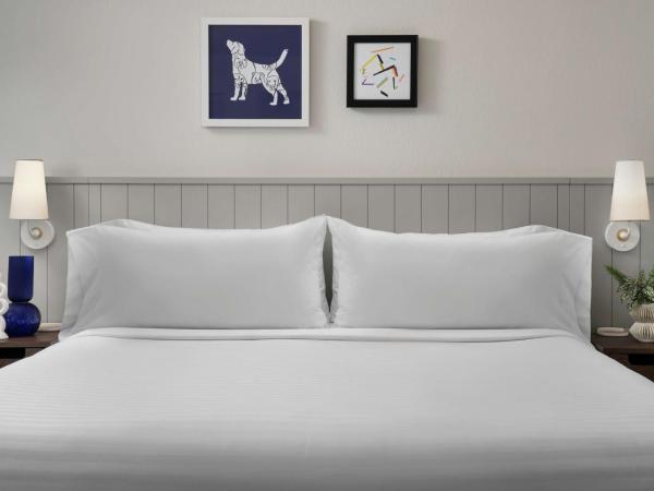 Sonesta ES Suites Chicago Downtown Magnificent Mile Medical : photo 5 de la chambre suite studio - 1 lit king-size