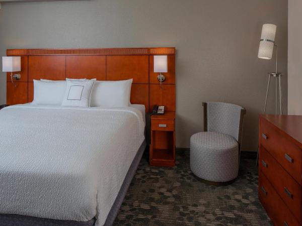 Courtyard Orlando International Drive/Convention Center : photo 1 de la chambre suite lit king-size avec canapé-lit