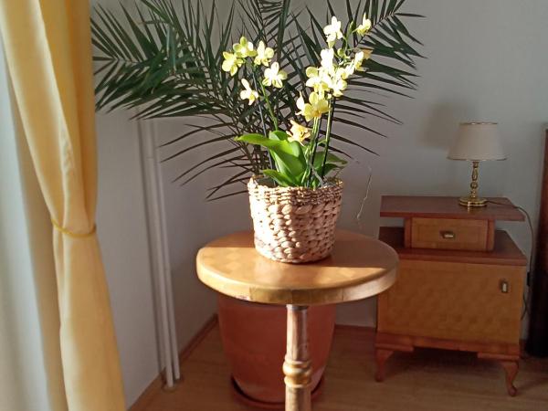 Pension Baron Schoeneck : photo 7 de la chambre appartement 2 chambres