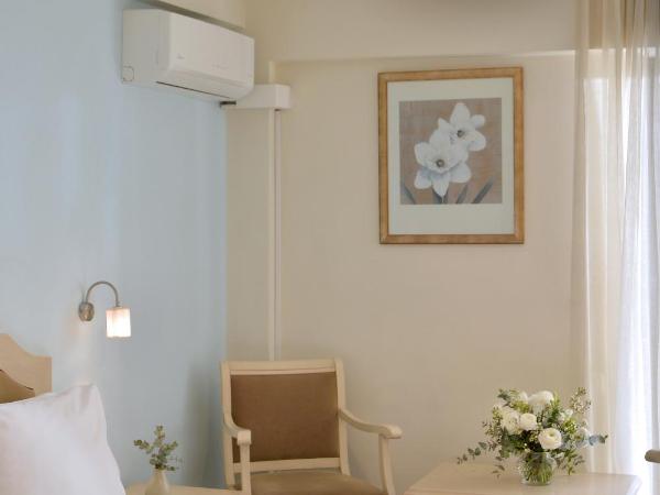 Airotel Parthenon : photo 5 de la chambre chambre classique