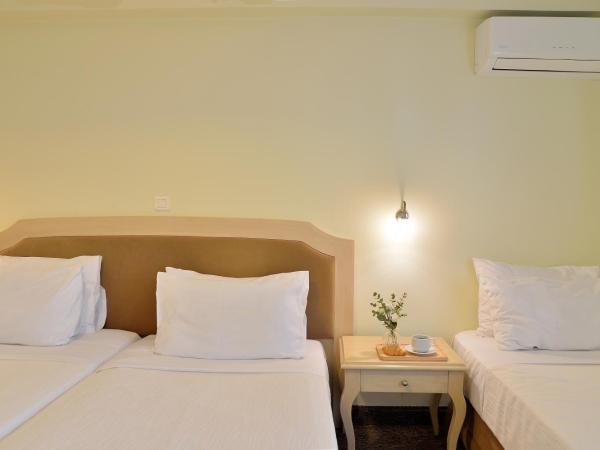 Airotel Parthenon : photo 2 de la chambre chambre triple