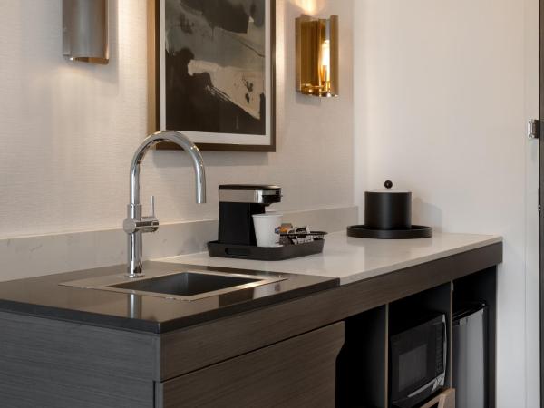 Hampton Inn By Hilton Winnipeg Downtown : photo 4 de la chambre suite studio lit king-size