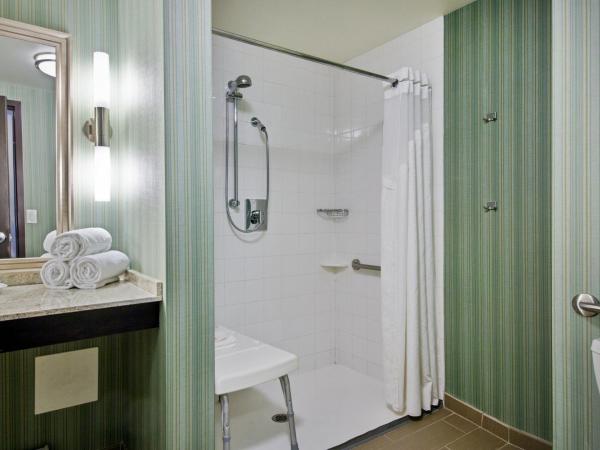 Holiday Inn Saskatoon Downtown, an IHG Hotel : photo 3 de la chambre chambre lit king-size standard avec douche accessible en fauteuil roulant - adaptée aux personnes à mobilité réduite