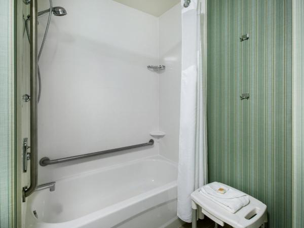 Holiday Inn Saskatoon Downtown, an IHG Hotel : photo 4 de la chambre chambre lit king-size standard avec baignoire accessible aux personnes à mobilité réduite - adaptée aux personnes à mobilité réduite