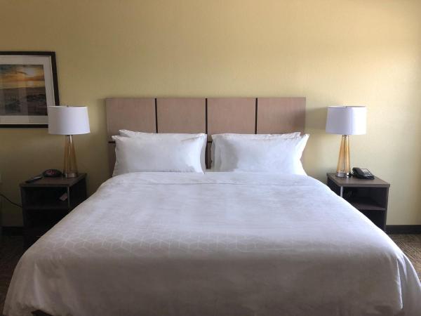 Candlewood Suites - Panama City Beach Pier Park, an IHG Hotel : photo 10 de la chambre suite studio lit king-size