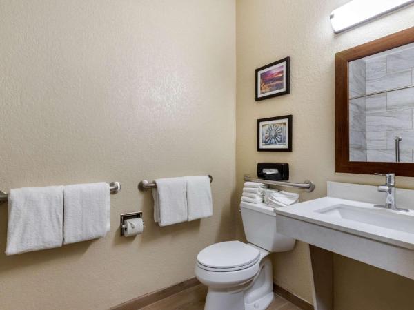 Comfort Suites San Antonio Airport North : photo 5 de la chambre suite avec lit king-size pour personnes à mobilité réduite - non-fumeurs