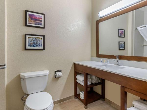 Comfort Suites San Antonio Airport North : photo 5 de la chambre suite 2 lits queen-size - non-fumeurs