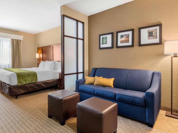 Comfort Suites San Antonio Airport North : photo 1 de la chambre suite avec lit king-size pour personnes à mobilité réduite - non-fumeurs