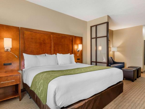 Comfort Suites San Antonio Airport North : photo 3 de la chambre suite avec lit king-size pour personnes à mobilité réduite - non-fumeurs