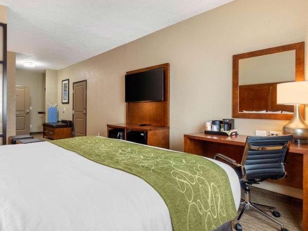 Comfort Suites San Antonio Airport North : photo 4 de la chambre suite avec lit king-size pour personnes à mobilité réduite - non-fumeurs