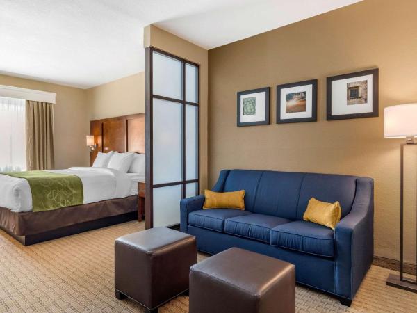 Comfort Suites San Antonio Airport North : photo 1 de la chambre suite lit king-size – non-fumeurs
