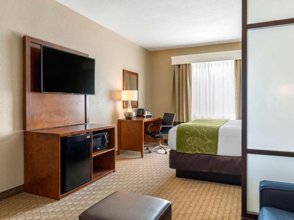 Comfort Suites San Antonio Airport North : photo 2 de la chambre suite lit king-size – non-fumeurs