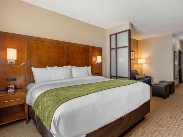 Comfort Suites San Antonio Airport North : photo 3 de la chambre suite lit king-size – non-fumeurs