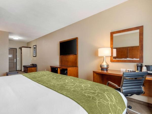 Comfort Suites San Antonio Airport North : photo 4 de la chambre suite lit king-size – non-fumeurs