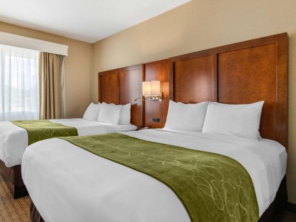 Comfort Suites San Antonio Airport North : photo 3 de la chambre suite 2 lits queen-size - non-fumeurs