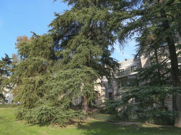 Hostels Meetingpoint : photo 4 de la chambre lit simple dans dortoir pour femmes de 8 lits