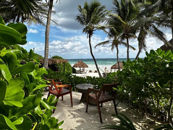 LUV Tulum : photo 2 de la chambre beachfront king standard