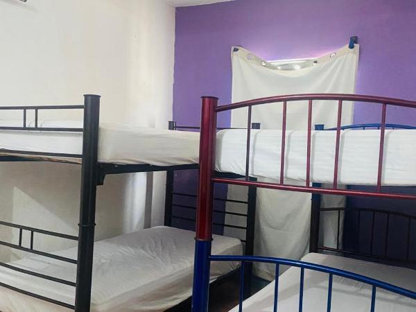 Hotel & Hostal Mayflower : photo 2 de la chambre bungalow familial