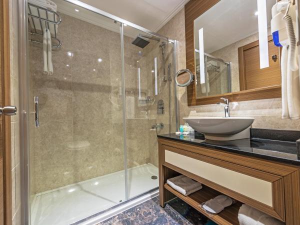 Downtown Ankara Hotel : photo 5 de la chambre chambre double supérieure