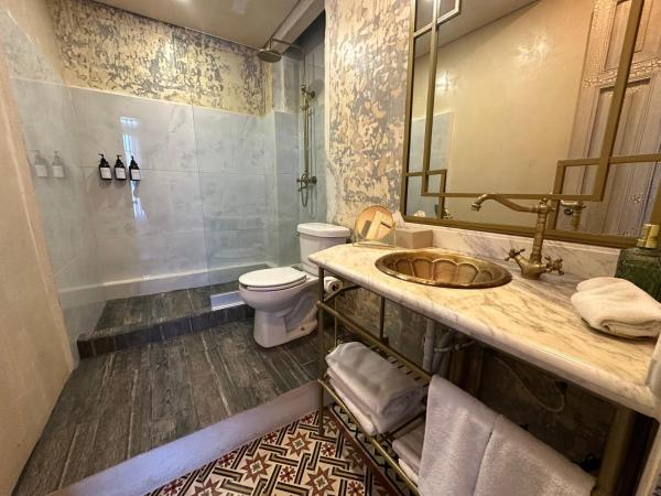 Historic House Hotel boutique : photo 4 de la chambre suite avec balcon
