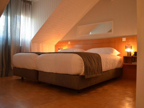 Hotel des Alpes : photo 2 de la chambre studio duplex avec terrasse