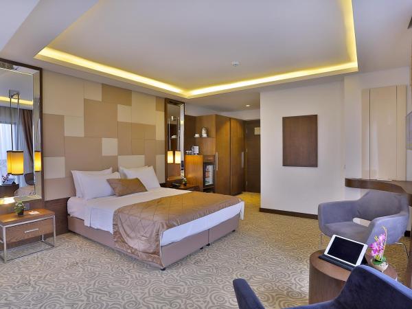 Grand Sagcanlar Hotel : photo 7 de la chambre chambre deluxe - vue sur mer