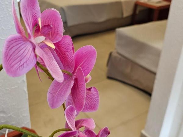 Atlantis Boutique City Hotel : photo 4 de la chambre chambre triple supérieure