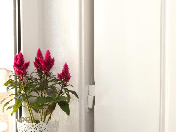 Flores Guest House : photo 8 de la chambre chambre double ou lits jumeaux supérieure