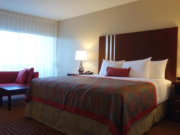 Ramada by Wyndham Sacramento : photo 1 de la chambre chambre lit king-size - non-fumeurs