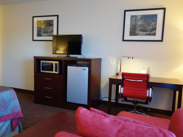 Ramada by Wyndham Sacramento : photo 3 de la chambre chambre lit king-size - non-fumeurs