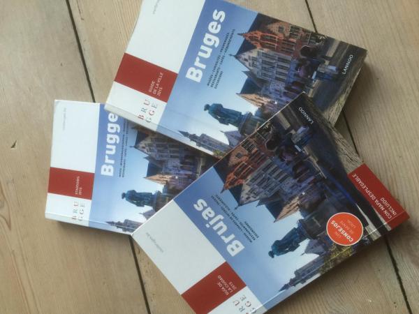 Guesthouse Vlamynckpoort : photo 5 de la chambre chambre double deluxe avec douche