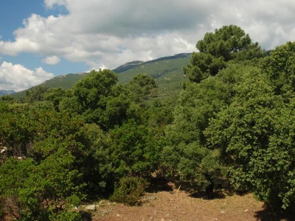 Residence Riviera : photo 10 de la chambre villa