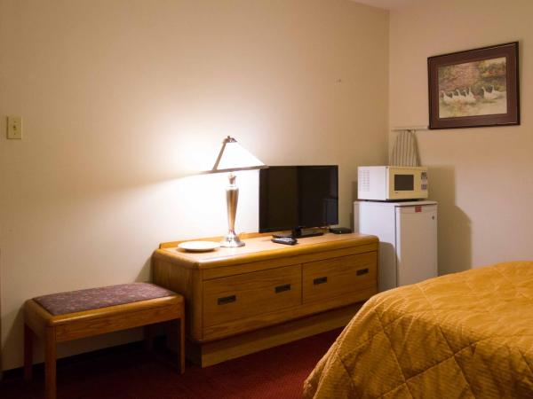 Niagara Falls Motor Lodge : photo 8 de la chambre chambre lit queen-size 