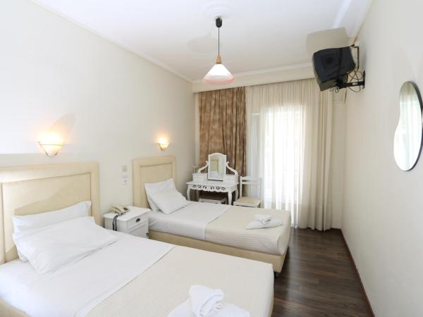 Athens Delta Hotel : photo 2 de la chambre chambre lits jumeaux