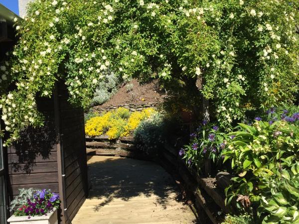 Mountain View Lodge : photo 8 de la chambre maison 5 chambres