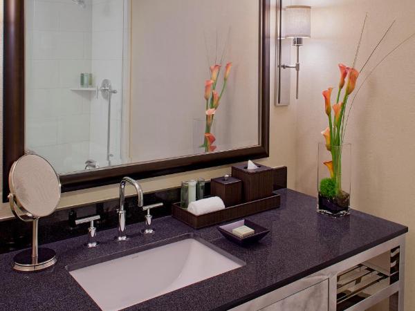 Hyatt Regency New Orleans : photo 3 de la chambre chambre lit king-size avec baignoire accessible aux personnes à mobilité réduite