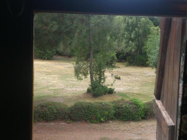 Posada del Angel : photo 8 de la chambre chambre double standard