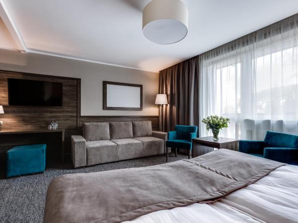 Hotel Konradówka Wellness & SPA - 300 metrów do centrum : photo 10 de la chambre chambre prestige